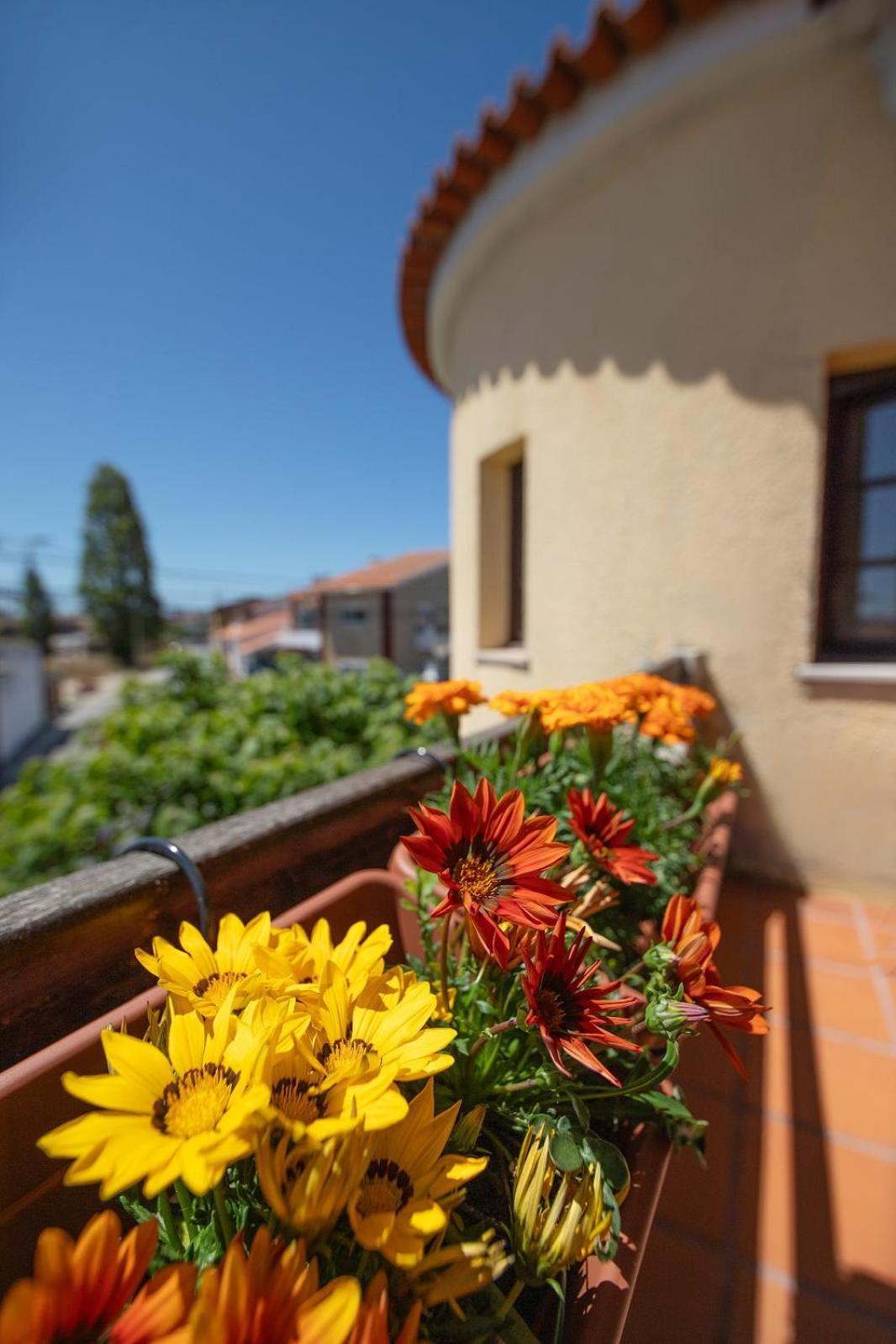 Villa Salgado Gafanha da Nazaré Exterior foto